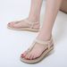 2025 Summer New Women's Sandals Cross-Border Trade Metal Large Size Buckle Embroidery Flat Shoes Wholesale One Piece_vogvips.com