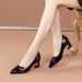Soft Leather Single Shoes Women's Medium Heel Thick Heel Soft Sole Professional Shallow Mouth Comfortable Pointed Women's Shoes_vogvips.com