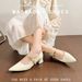 Sheepskin French-style Pointed-toe Chunky Heel Women's Shoes 2025 Spring/autumn With Metal Strap, Shallow Mary Jane_vogvips.com