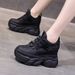 2025 New Autumn Thick-Soled Height-Increasing Dad Women, Popular Casual Sports Shoes For Short Women_vogvips.com