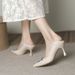 French-style High-heeled Women, 2026 Spring Autumn New Model, Pointed Toe, Shallow Cut, Thin Heel, Elegant And_vogvips.com