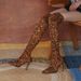 Women's 2022 Autumn Winter New Large Size Leopard Print Pointed Toe Sexy High Heel Over-the-Knee Stretch Boots_vogvips.com