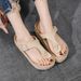 2025 Summer New Women's Flip-Flops Outdoor Thick-Soled Sandals Ladies Height-Increasing European And American_vogvips.com