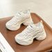 2025 Spring Women's New Style Internal Height Increase Casual Dad White Wedge Platform Thick Sole Mesh Single Shoes With_vogvips.com