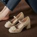 Fairy Style Square Root High Heels Female Word Belt French Mary Jane High Heels Female_vogvips.com