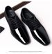 Plus Leather Size Autumn And Winter Breathable Korean Version Youth Versatile British Pointed Shiny Face Business Formal_vogvips.com