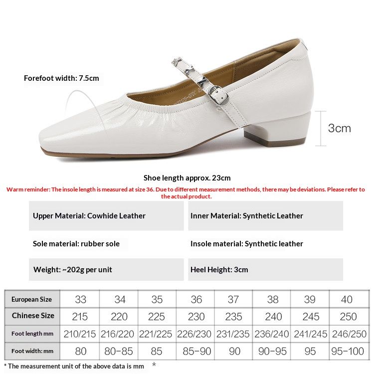 Cameido Mary Jane Shoes Low Heel Single Shoes For Women Spring Commuting With Skirt_vogvips.com