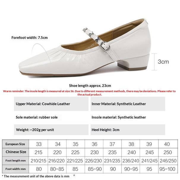 Cameido Mary Jane Shoes Low Heel Single Shoes For Women Spring Commuting With Skirt_vogvips.com