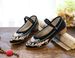 Embroidered Hanfu Forest Women's Shoes, Square Dance Shoes_vogvips.com