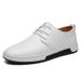 Suitable For All Seasons New Spring And Autumn Business Fashion Casual Leather Large Size Formal Hollow Punch Men's Shoes_vogvips.com