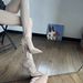 Stiletto Pointed Toe Outdoor Versatile Casual Comfortable 2024 Summer Fashion Niche Design Solid Color High Heel Sandals_vogvips.com