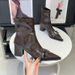 2025 Autumn New Pointed Thin Boots Temperament Fashion Boots Women's Black Martin Boots French Women's Boots Thick Heel Buckle_vogvips.com