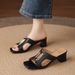Luxury Chunky Heel Sandals Women, New Summer 2026 Model, High-end Metal Buckle, Suitable Pairing With Skirts, Stylish_vogvips.com