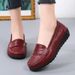 New Nurse Shoes Casual Hollow Women's Single Shoes Peas Shoes_vogvips.com