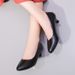 wangjia Wangjia Spring Summer Fashion Work Black Professional Single Leather Low Heel Workwear Formal Interview Flight_vogvips.com