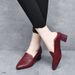 2024 Deep Mouth Pointed Toe Fashion Mid-Heel Work Internet Celebrity Hot-Selling Wedge Spring And Autumn Embroidered_vogvips.com