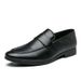Suitable For All Seasons 2025 Spring New Slip-On Men's Leather Shoes Pointed Toe Casual Loafers Men_vogvips.com