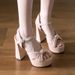 Women's Summer High-heeled Sandals Single Strap Chunky Heel, Perfect For Pairing Skirts, Comfortable Non-tiring, With A_vogvips.com