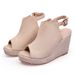 Women’s Shoes Wedge Heel Thick Bottom High Heel Fish Mouth Sandals Women's Straw Rope Bottom Buckle Sandals Large Size Shoes Suede_vogvips.com