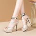 Waterproof Platform Peep-toe Roman Sandals For Women, 2021 Summer New Suede Formal Dress Heels, Fashionable Party And_vogvips.com