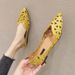 Fashion Plus Size Flats Pointed Flat Shoes_vogvips.com