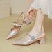Women's Peep Sandals 2025 New Summer French Style Mary Jane Shoes With Chunky Silver Strap Pointed Toe High Heels_vogvips.com