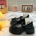 Round Toe Thick Heel Mary Jane 2025 New French Bow Small Leather Women's Single Shoes_vogvips.com