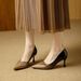 Pointed Toe Stiletto High Heels Elegant Comfortable 2026 Spring New Style Temperament Patent Leather Color Block Shallow Mouth Sin_vogvips.com