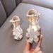Baby Girl Girl Girl Princess Diamond Single Shoe Shoes Dance Show Shoes Flowers_vogvips.com