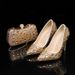 Women's Shoes sandals with stilettos and pointed toes, crystal glass flowers, champagne gold, banquet evening bag combination women's shoes_vogvips.com