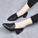 Soft-soled Pointed Single Shoes Women's Mid-heel Season Embroidered Commuter Women's Shoes Comfortable Thick-heeled Soft Leather Mother Shoes_vogvips.com