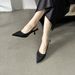 2024 Summer Women's High-Heeled Sandals With Thin Heels, Pointed Toe, Closed Back, Low Heel, Shallow Mouth, European_vogvips.com