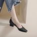 Pointed Single Shoes Women's Thick Heel Autumn Versatile Soft Sole Doudou Shoes Large Size Ladyshoes_vogvips.com
