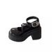 Women's Summer Thick-Soled Mary Jane Leather With Buckle, Round Toe, French Retro Style, Chunky High Heel Single Shoes_vogvips.com