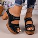 Cross-border Summer New Hollow Thick Heel Thick Sole Women's Metal Buckle Retro Style Daily Street Niche Design Women's Sandals_vogvips.com