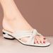 Pair With Dress Thick One-Strap Sandals For Women Outdoor 2025 Summer Fashion Fairy Style Versatile Open-Toe Low Heel_vogvips.com