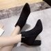 2020 New Women's Shoes Side Zipper Martin Suede Pointed Toe Autumn Plush High Ankle Boots Chunky Heel Winter_vogvips.com