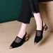 2026 Summer New Model Foreign Trade Niche Light Luxury Chunky Heel Pointed Toe Mesh Open Back Fashion Sandals For_vogvips.com