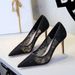 Women's Elegant Lace High Heels Pointed Toe Stiletto Pumps For Evening Party & Special Occasions - Sizes 34-43 Mesh Stiletto High Heels Single Shoes_vogvips.com