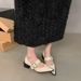 Vintage Pointed-Toe Mary Jane Pumps Women's British Style Flats Chunky Heel Shoes For Spring Autumn French Fashion_vogvips.com