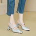 Women's Peep Toe Sandals Summer High 2025 New French Style Mary Jane Shoes Silver Strap Chunky Heels_vogvips.com