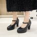 Spring New Style Chunky Heel Women's Fashion Work Shoes Low Cut Pointed Toe Professional Plus Size Strappy High Heels_vogvips.com