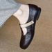 Round-Toe Mary Jane Retro Flats 2026 New Spring Comfortable Versatile Low-Heel Women's Shoes_vogvips.com
