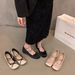 Pink Ballet Flats With Hidden Wedge For Women, 2024 New French Style, Spring And Autumn Mary Jane Gentle Evening Shoes_vogvips.com
