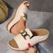 Casual Fashion Thick Bottom Sandals Women's New Model Large Size Simple Metal Buckle Fish Mouth Cool Summer Slippers_vogvips.com