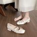 Mary Jane Women's Shoes Bow Word With Thick Heel Light Mouth Single Shoes_vogvips.com