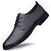 Perforated Breathable Summer Men's Single Layer Pointed Toe Cowhide Casual Youth Lace-up Formal Genuine Leather Business_vogvips.com