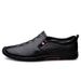 Men's Shoes Men's Casual Leather Shoes Embossed Crocodile Pattern Beanie Shoes Men_vogvips.com