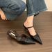 Pointed High Heels Stiletto Elegant Closed Toe Mules Outdoor Wear Metal Buckle Strap French Style Single Shoes_vogvips.com