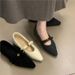 Women's Vintage Mary Jane Shoes – Floral Embellished Suede Loafers With Cotton Lining & Hidden Wedge Heel For Fall & Winter_vogvips.com